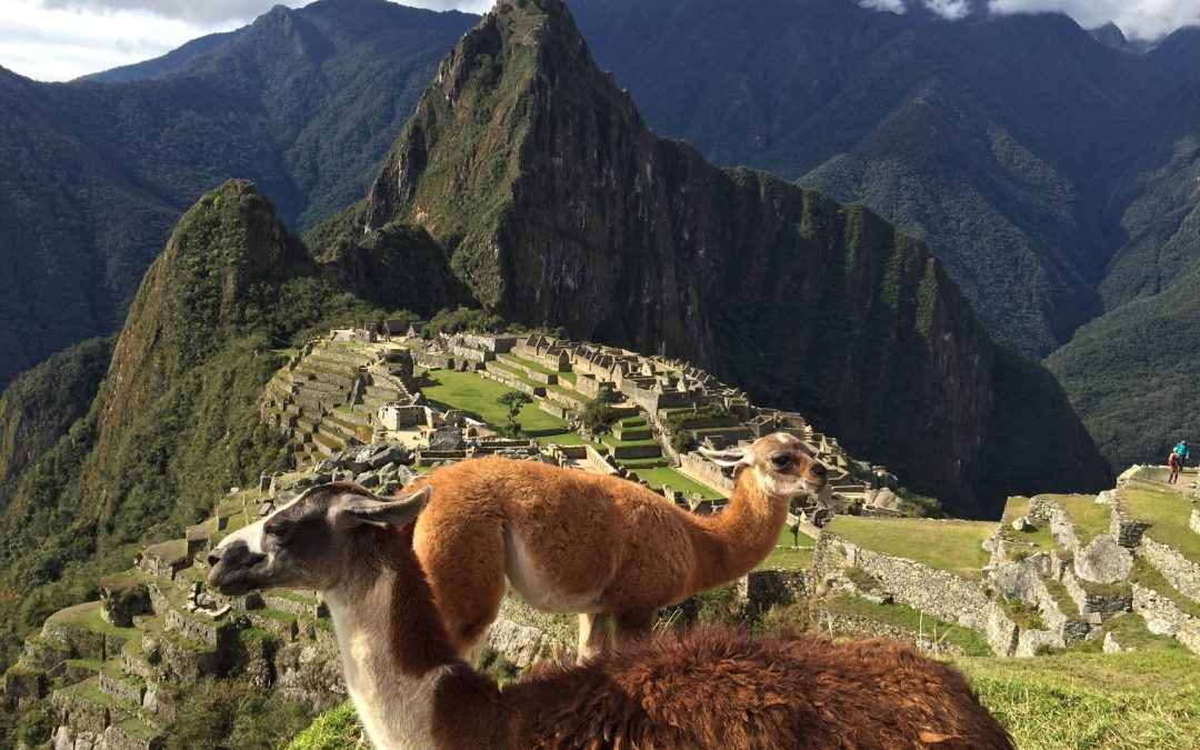 Chemarea muntelui/ Machu Picchu/ Triade care graiesc/2024