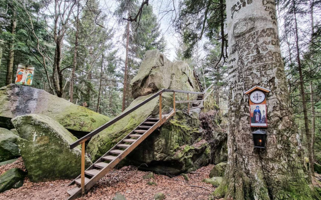 Un colt de rai….. Bucovina/ 25-29 oct 2025