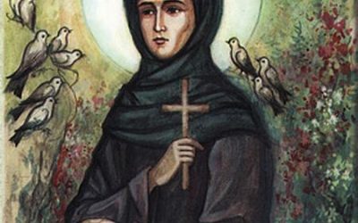 Despre dezlegari. Anotimpul divin