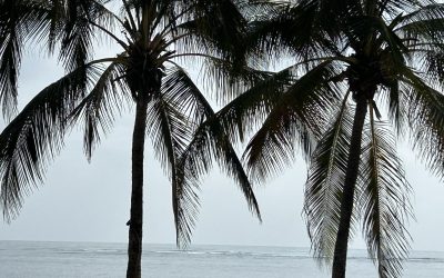 Apa, florile, Soarele