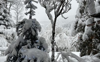 Terapia cu zapada. Un colt de rai. Rivus retreat