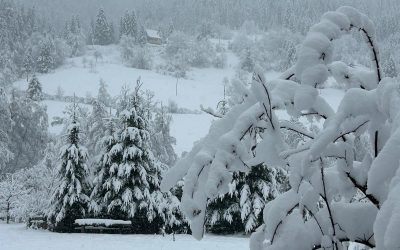 Zapada, Molifte, Salturi de intelegere