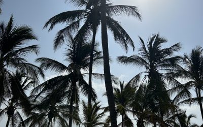 Vantul inspirational, zorii divini, graiul ceresc