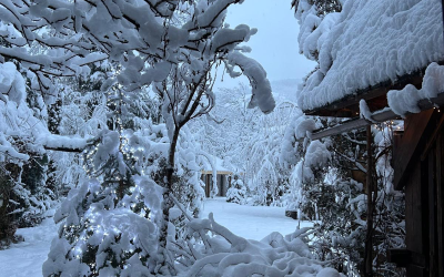 Psihologie energetica, geometrie sacra, regresii spontane, 7 februarie( de la 10 00 la 17 00)