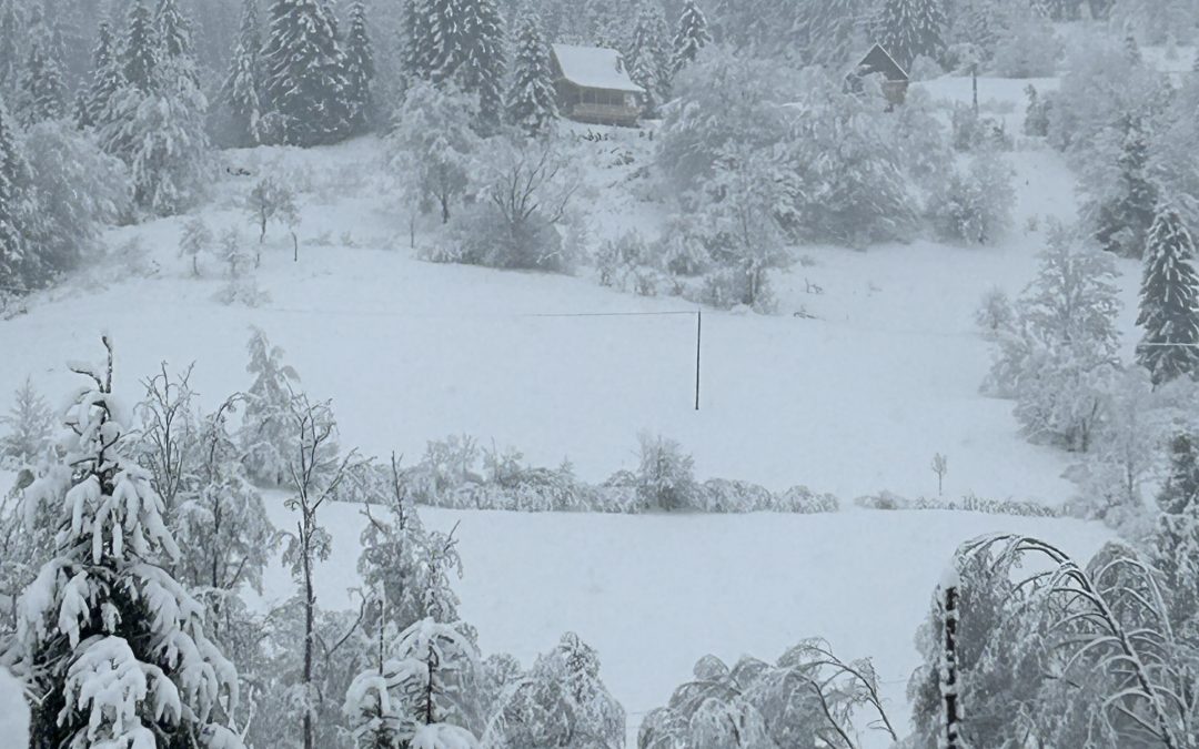 Din pantecul Gratiei….