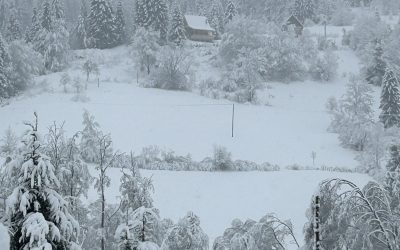 Din pantecul Gratiei….