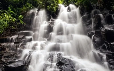 Frecventa dar. Starea de inflorire. Smerenie, bucurie, recunostiinta/3 martie, ora 18 30