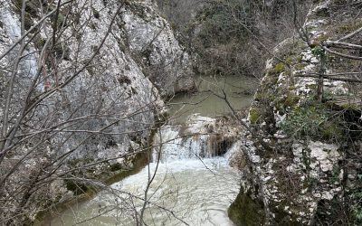 Triunghi divin in actiune