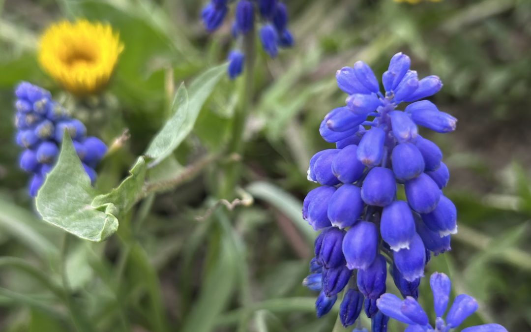 Post, rugaciune, fapte inaltatoare