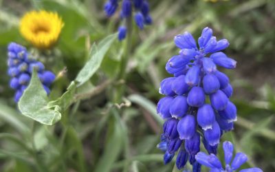 Post, rugaciune, fapte inaltatoare