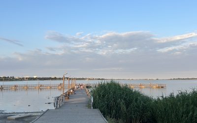 Soare, namol, Dobrogea vie